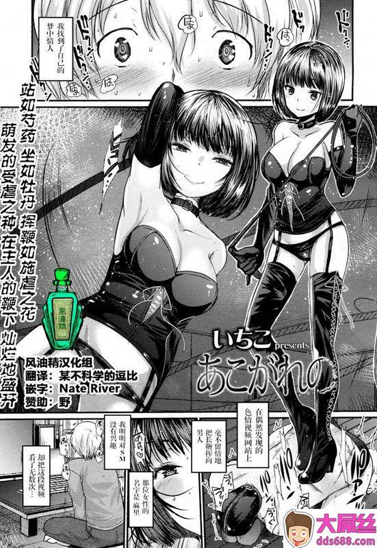 いちこあこがれのガールズフォームVol.15中国翻訳DL版